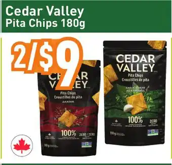 Healthy Planet Cedar Valley Pita Chips offer