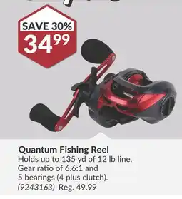 Princess Auto Quantum Fishing Reel offer
