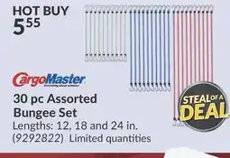 Princess Auto 30 pc Assorted Bungee Set offer