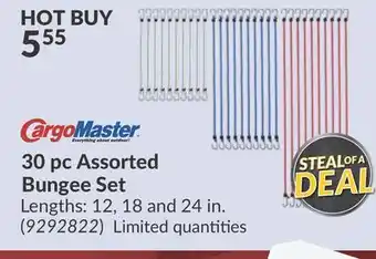 Princess Auto 30 pc Assorted Bungee Set offer