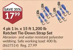 Princess Auto 1 200 lb Ratchet Tie-Down Strap Set offer