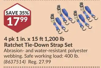 Princess Auto 1 200 lb Ratchet Tie-Down Strap Set offer