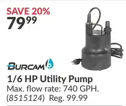 Princess Auto 1/6 HP Utility Pump offer