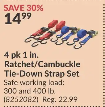 Princess Auto 4 pk 1 in. Ratchet/Cambuckle Tie-Down Strap Set offer