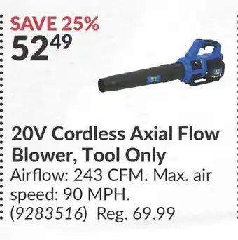 Princess Auto Power Fist 20V Cordless Axial Flow Blower, Only offer