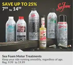 Princess Auto Sea Foam Motor Treatments offer