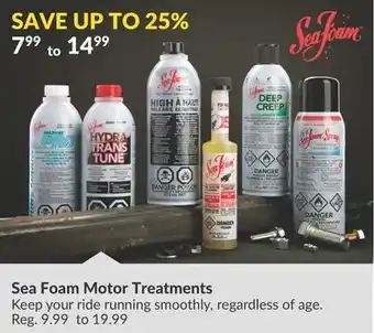Princess Auto Sea Foam Motor Treatments offer