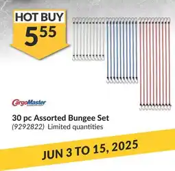 Princess Auto CargoMaster 30 pc Assorted Bungee Set offer
