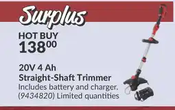 Princess Auto 20V 4 Ah Straight-Shaft Trimmer offer