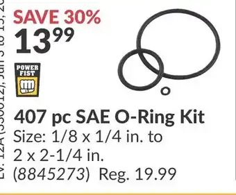 Princess Auto 407 pc SAE O-Ring Kit offer