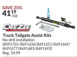 Princess Auto Truck Tailgate Assist Kits offer