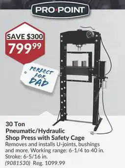Princess Auto 30 Ton Pneumatic/Hydraulic Shop Press with Safety Cage offer