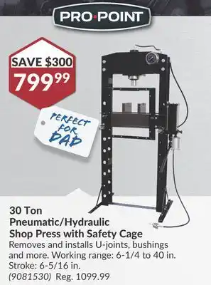 Princess Auto 30 Ton Pneumatic/Hydraulic Shop Press with Safety Cage offer