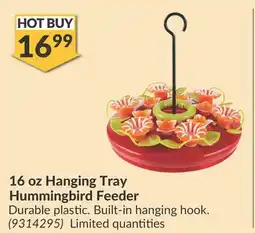 Princess Auto 16 oz Hanging Tray Hummingbird Feeder offer