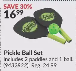 Princess Auto Pickle Ball Set offer