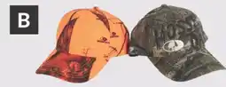 Princess Auto Hats offer