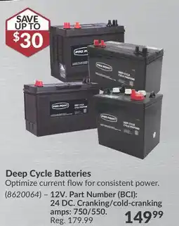 Princess Auto Deep Cycle Batteries offer
