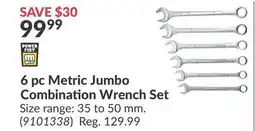 Princess Auto 6 pc Metric Jumbo Combination Wrench Set offer