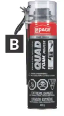 Princess Auto Insulating Foam Sealants offer