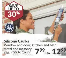Princess Auto Silicone Caulks offer