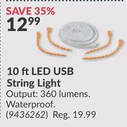 Princess Auto 10 ft LED USB String offer