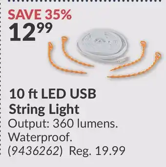 Princess Auto 10 ft LED USB String offer