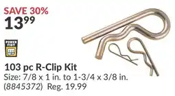 Princess Auto 103 pc R-Clip Kit offer