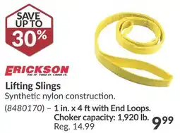 Princess Auto Lifting Slings offer