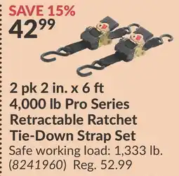 Princess Auto 2 pk 2 in. x 6 ft. 4,000 Pro Series Retractable Ratchet Tie-Down Strap Set offer