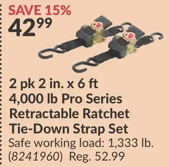 Princess Auto 2 pk 2 in. x 6 ft. 4,000 Pro Series Retractable Ratchet Tie-Down Strap Set offer