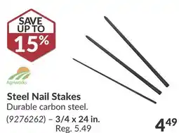 Princess Auto Steel Nail Stakes 3/4 x 24 in offer