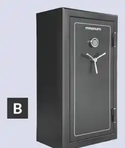 Princess Auto Gun Safe offer
