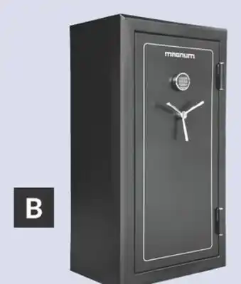 Princess Auto Gun Safe offer