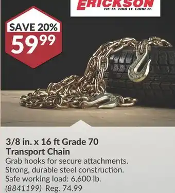 Princess Auto 3/8 in. x 16 ft Grade 70 Transport Chain offer