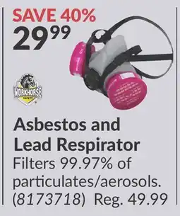 Princess Auto Asbestos and Lead Respirator Filters offer