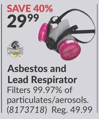 Princess Auto Asbestos and Lead Respirator Filters offer
