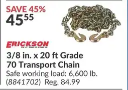 Princess Auto 3/8 in. x 20 ftGrade 70 Transport Chain offer