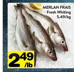 Supermarché PA MERLAN FRAIS | Fresh Whiting offer