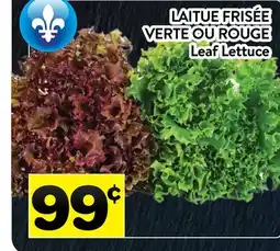 Supermarché PA LAITUE FRISÉE VERTE OU ROUGE offer