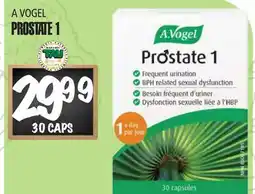 Marches Tau A Vogel Prostate 1 offer