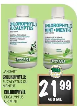Marches Tau Chlorophylle Eucalyptus ou Menthe Landart offer