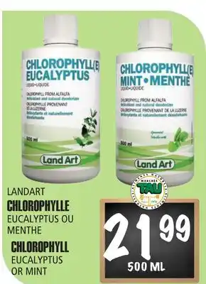 Marches Tau Chlorophylle Eucalyptus ou Menthe Landart offer