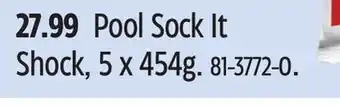 Canadian Tire Pool Sock It Shock offer