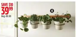 Canadian Tire Calla 4-Piece Wall Mounted Planter offer