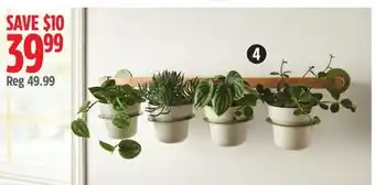 Canadian Tire Calla 4-Piece Wall Mounted Planter offer
