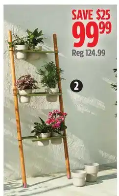 Canadian Tire CANVAS Calla Ladder Plant Stand with 9 Pots offer