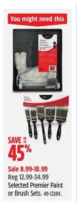Canadian Tire Selected Premier Paint or Brush Sets offer