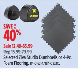 Canadian Tire SHOCK Selected Ziva Studio Dumbbells or 4-Pc offer