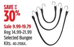 Canadian Tire Certified Selected Bungee Kits offer