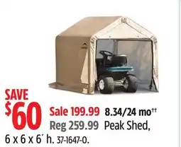 Canadian Tire Shelterlogic Peak Shed offer